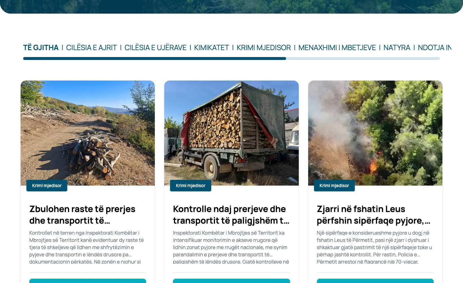 The environmental news page: category tabs above news cards on illegal logging and a forest fire